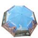 Panoramic umbrella of Florence